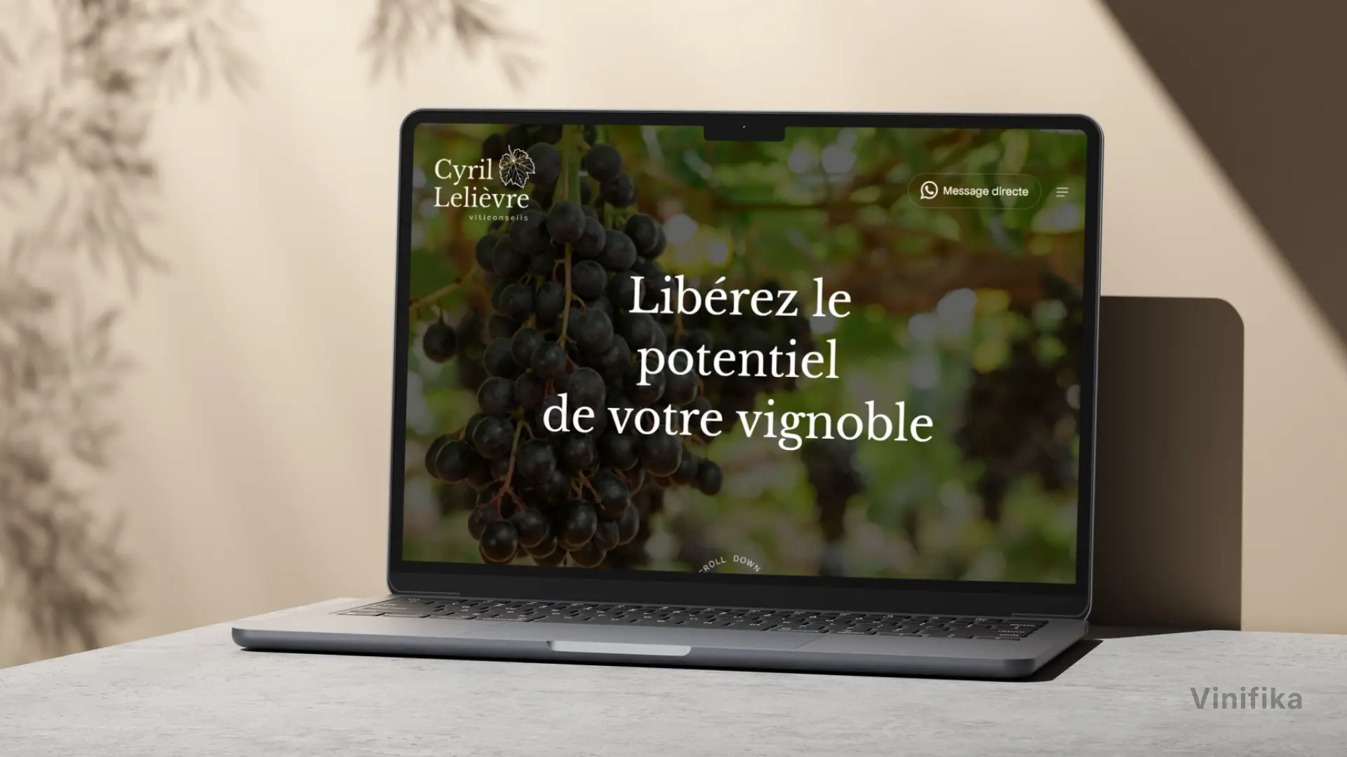 vinifika-client-case-study-lelièvre-viticonseils-website